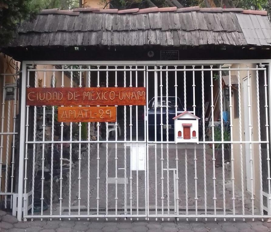 Ciudad De Mexico Unam Zewnętrze zdjęcie